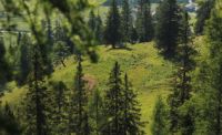 2015-07-01_1Pano-bei-Lacke (423)b.JPG